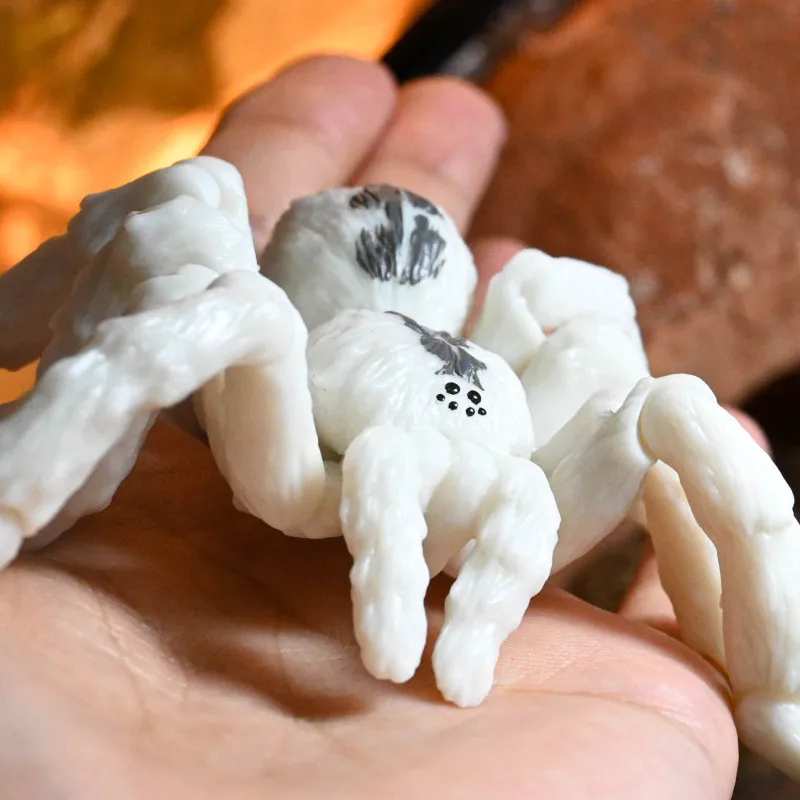 لعبة كبسولة Gachapon ، شخصية كتاب السيرة الذاتية ، زخارف العنكبوت ، إكسسوارات