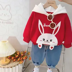 Kids Girls Hoodies Set Spring and Autumn New Baby Hoodie Pants Cute Two Piece Children's Clothing Set