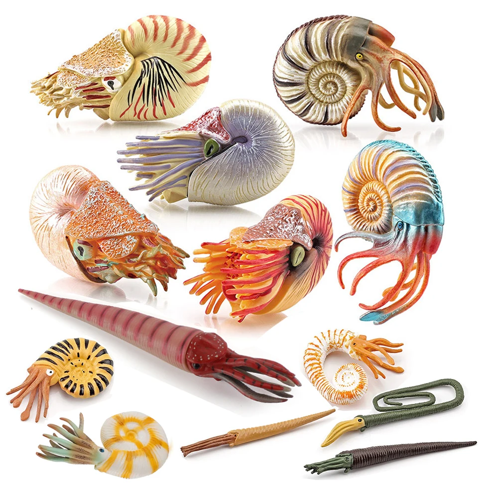 Figurines d'animaux marins : Nautilus, Cameroceras, Ammonites – Figurines d'animaux marins, figurines d'action, jouets en plastique, jeux, cadeaux pour enfants