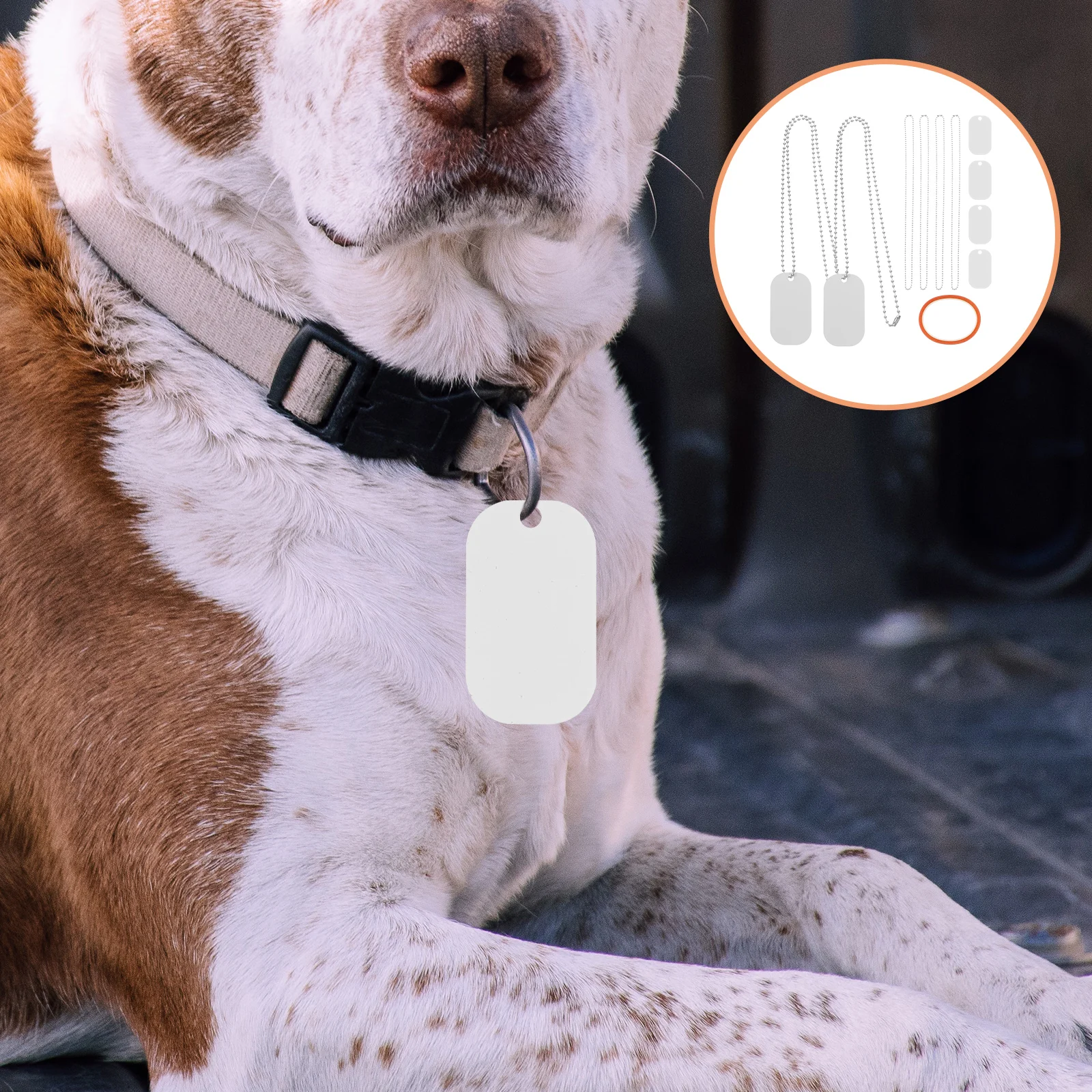 

1 set Pet Hanging Accessories Set Aluminum Dog Tags Blank Sublimation Supplies Heat Transfer Keychains Jewelry Kits Stainless