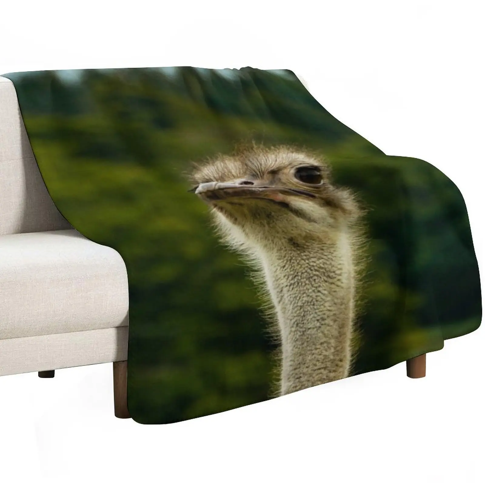 Ostrich Stood Tall Photograph - Ostrich Photography Throw Blanket decorative Single blankets ands Blankets For Bed Blankets