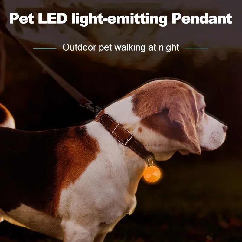 LED Lights Night Safety Dog Collar Glowing Pendant Pet  Accessories Glow In The Dark Bright Necklace Dog Collar