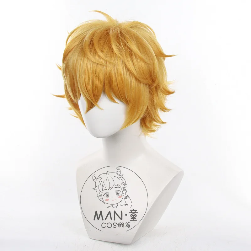 Perruque de Cosplay Yui Akiteru brise-vent Bofuri garçon cheveux courts Halloween