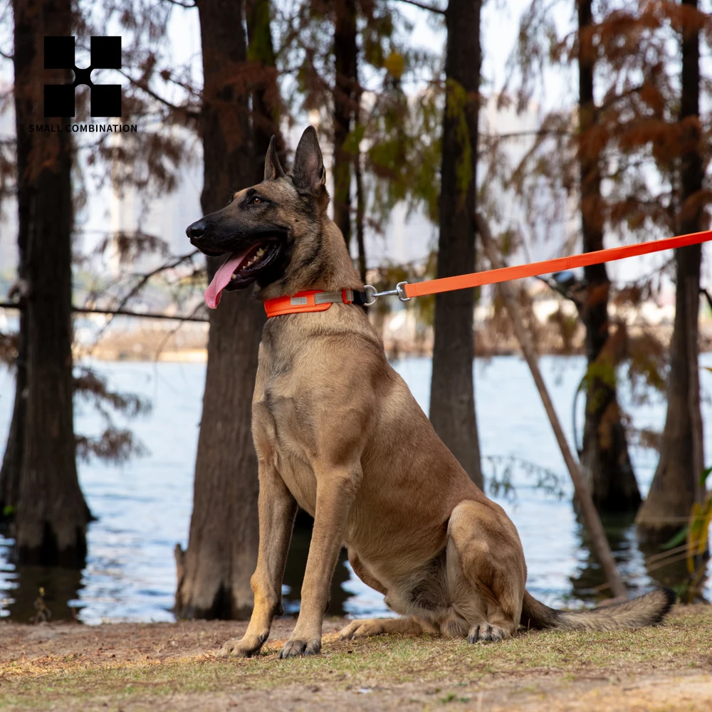 Adjustable Nylon AirTag Dog Collar Reflective Padded for Small Medium Large Dog Collar For AirTag Tracker Pet Dog Accessorie