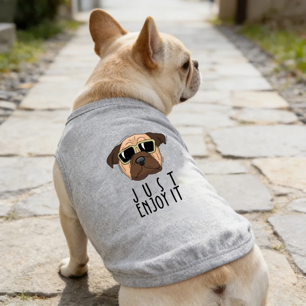 1 Stück weiche Hundeweste mit Cartoon-Aufdruck für Frühling und Sommer, zweibeinige Haustierkleidung für kleine und mittelgroße Hunde mit Teddybär-Motiv