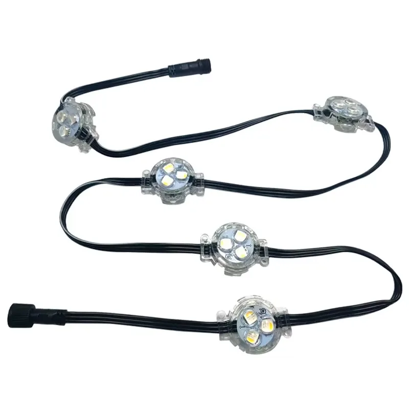 24v RGBW Light Emitting Diode Christmas Light IP68 5-point Light Emitting Diode string with warm white (4100K)