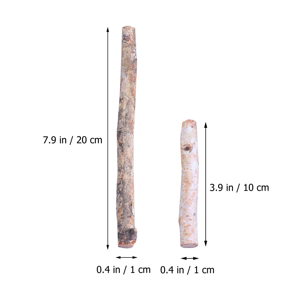 กิ่งเบิร์ชตกแต่ง 40 ชิ้น กิ่งไม้แห้งสำหรับตกแต่งแจกัน เตาผิง งานฝีมือ การจัดดอกไม้ ตกแต่งบ้าน