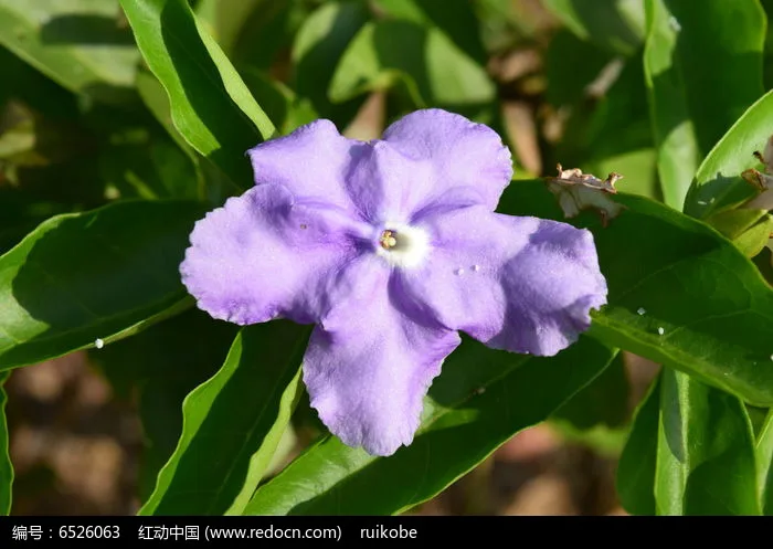 

RC 137*50mm 2.2 inch Soft Rubber Tire for 1/10 Axial SCX10 90046 TRX4 D90 D110 RR10 Wraith RC Crawler Car Upgrade Tyres