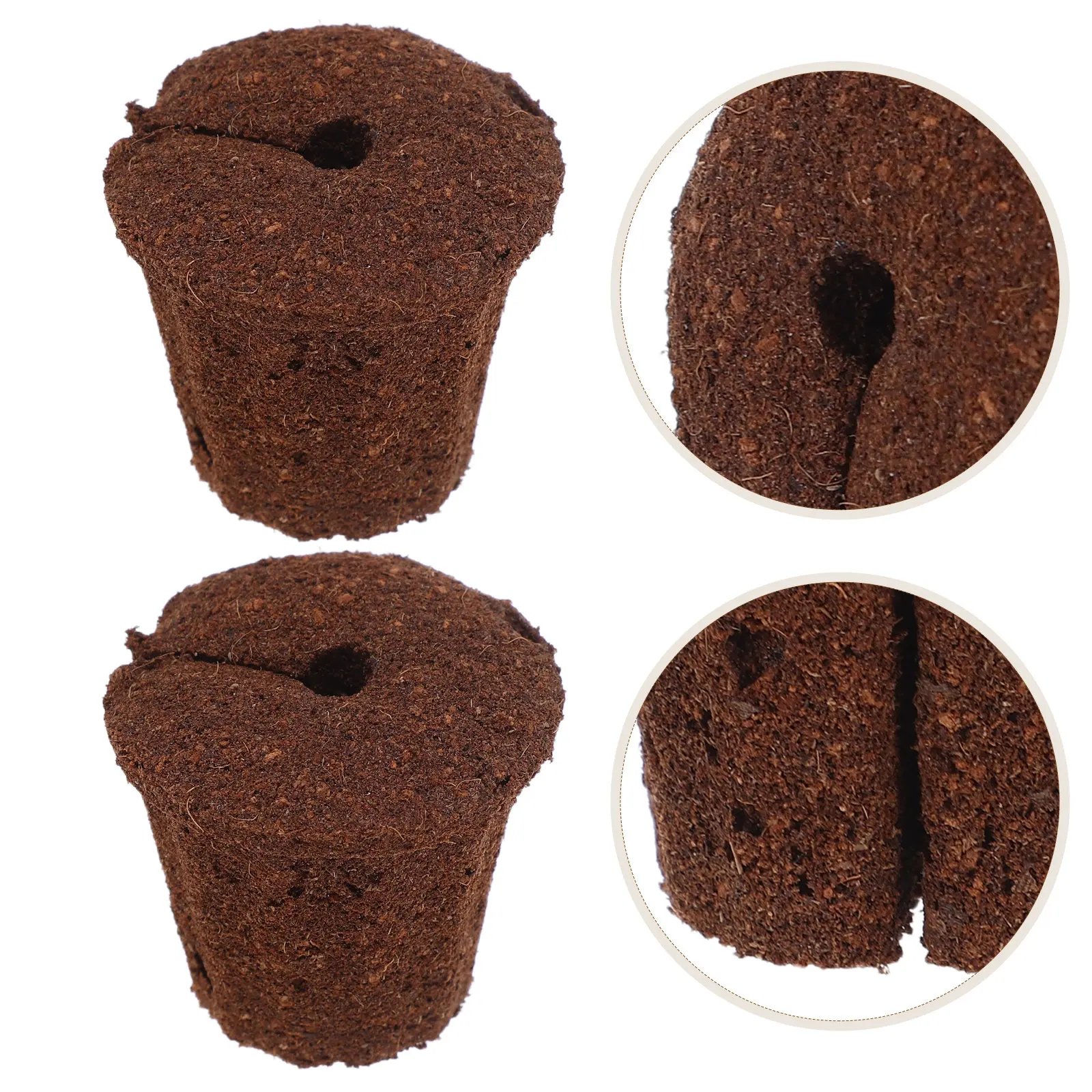 10Pcs Orchid Culture Medium 1.7 Inch Carbon Cotton Growing Sponges Phalaenopsis Nursery Split Propagation Plugs Hydroponics Peat