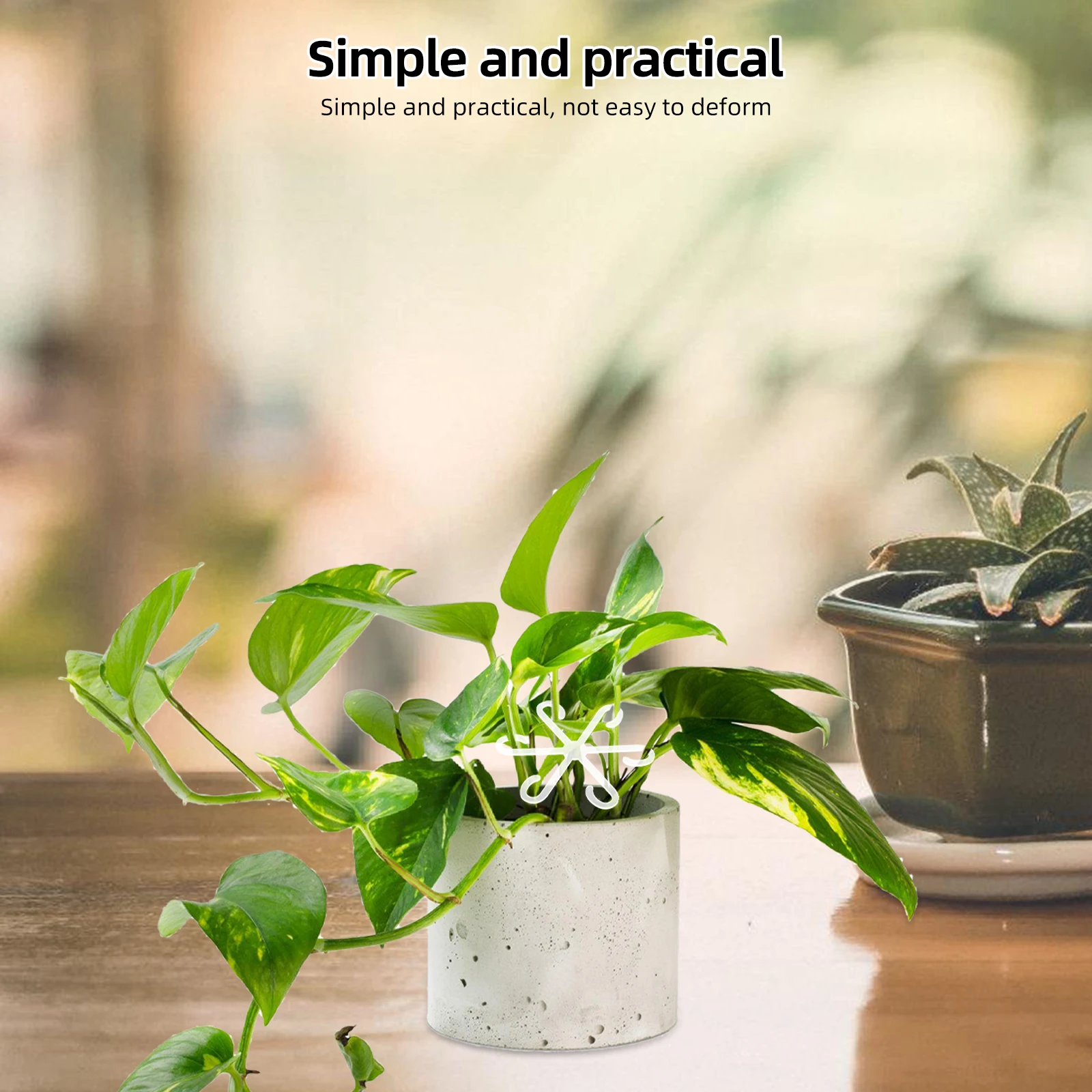 

Plant Stem Support Holder Rack for Flowers Vegetables Indoor Plants Acrylic Material Garden Climbing Stakes Clips Bamboo Outdoor