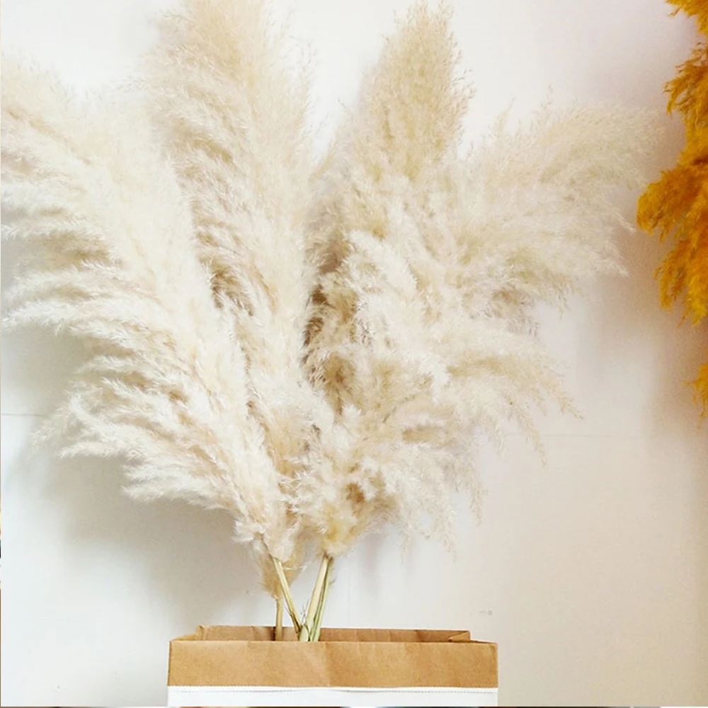 

Large Pampas Grass 80cm Flowers Bouquet Fluffy Dried Floral Decoration Natural Dried Plants DIY Craft Wedding Party Decorations