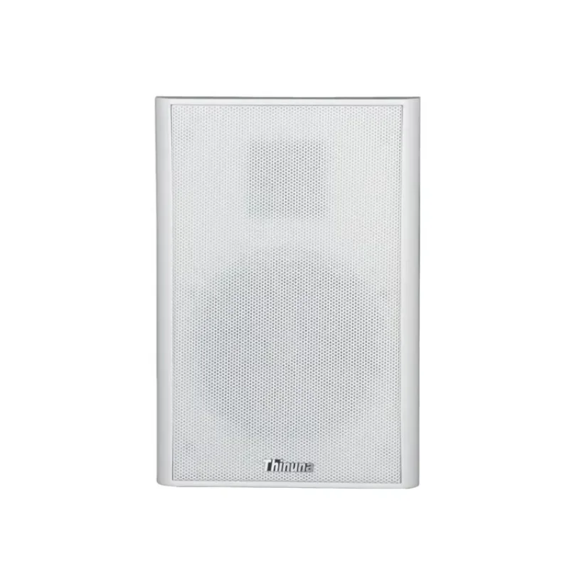 XS-25 5-inch Super Thin 38mm 2-Way Speaker PA System Invisible In-wall Speaker 4 Ohm 20W Slim Flat Panel Wall Speaker