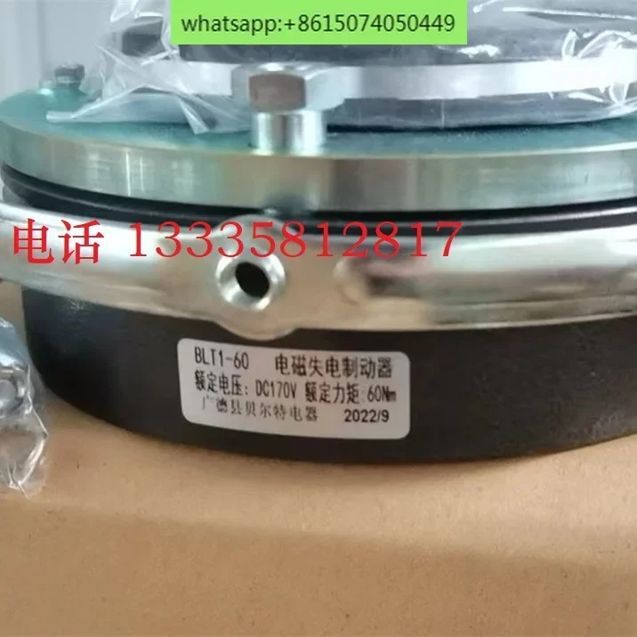 Guangde Belt Electric Electromagnetic Loss Brake BLT1-08/16/32/60/80/150 Wannan Motor