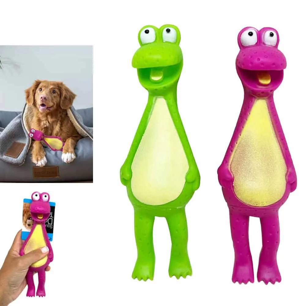 

2 Pack Dog Squeaky Toys Rubber Chew Toys for Puppies Small Medium Dogs Interactive Fetch Play Durable Pet Toys for Aggressive