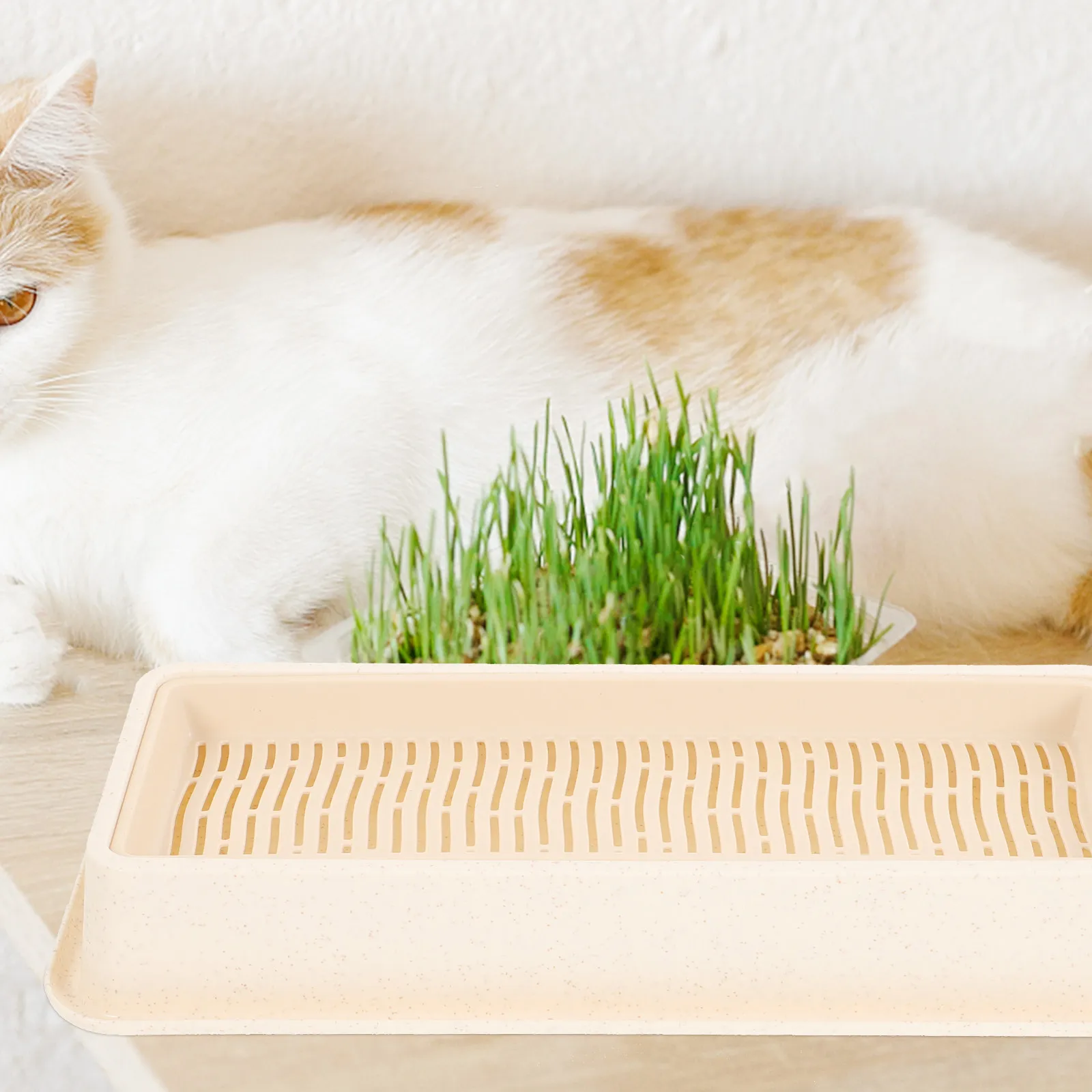 Cat Grass Planting Box Soilless Hydroponic Planter Plastic Lightweight Easy Clean Nursery Indoor Seed Germination Planter