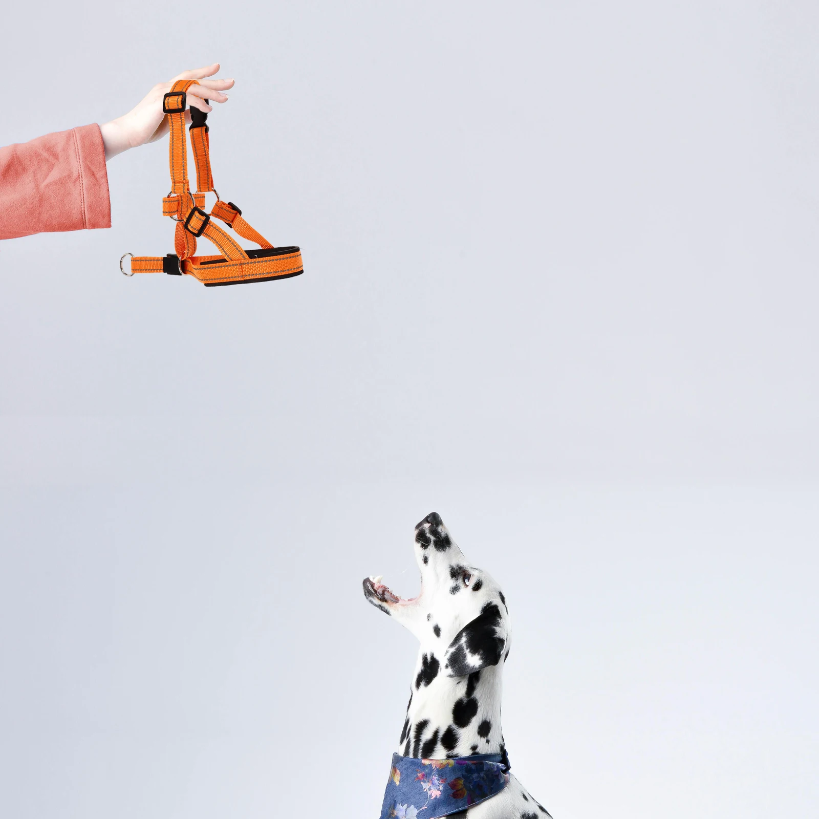 

Reflective Dog Muzzle Breathable Wear-Resistant Nylon For Large Medium Small Dogs Outdoor Walking Prevent Barking Pet Supplies