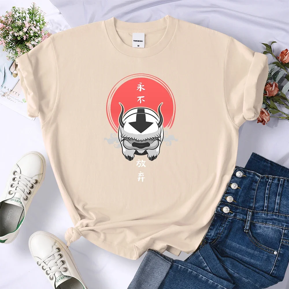 Print T Shirt  Avatar The Last Airbender Manga Women's Street Harajuku Tops Personality Hip Hop Tee Shirt Breathable Casual Tee