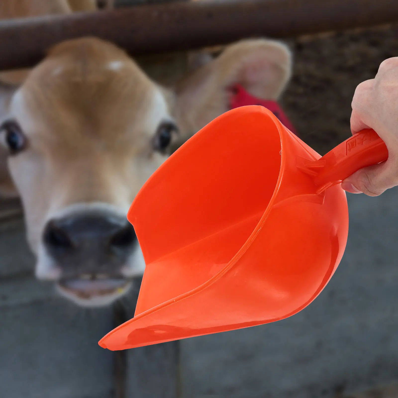 

Feed Scoop Large Capacity Plastic Shovel for Farm Cattle Sheep Poultry Home Utility Lightweight Portable Easy Cleaning Durable