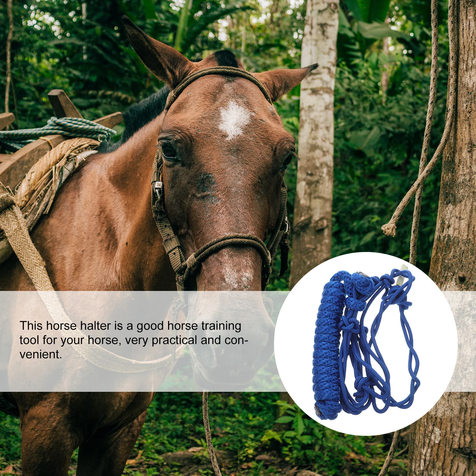 

Horse Training Equipment Bridle Rope Halter The Reins Neck Fabric Supplies