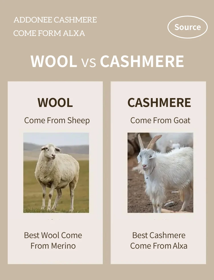 Postage Link  Shipment Postage Link - Image 5