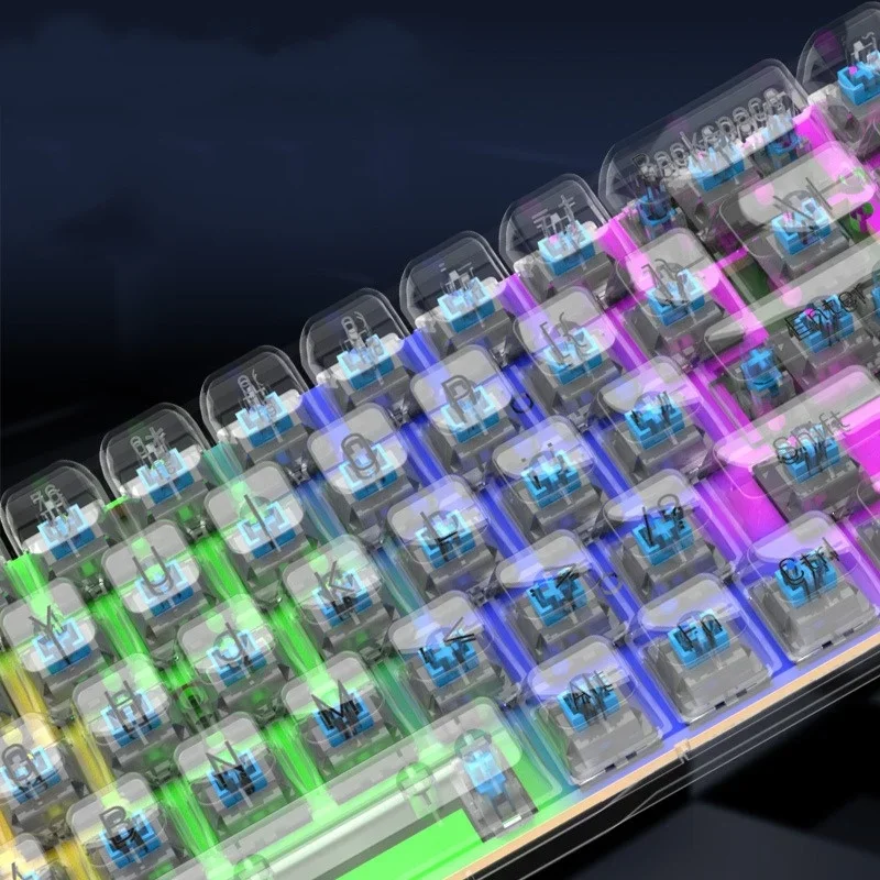 Mechanical Keyboard Transparent Keycap Rainbow Hot swap RGB LED Light Backlit Game Keyboard Type-C Wired 68 Key Keyboards