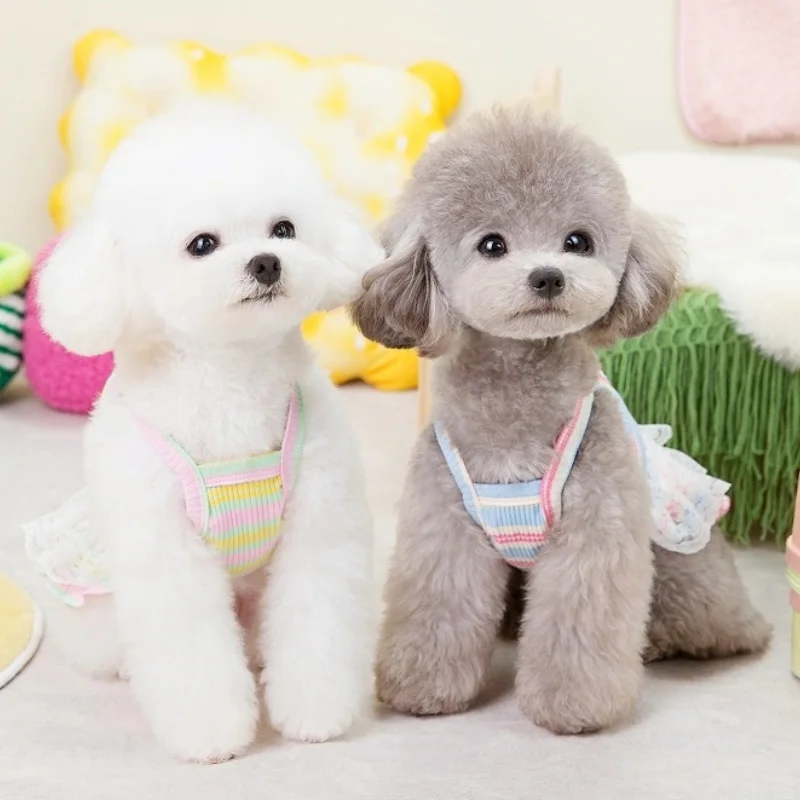 Summer Pet Dog Clothes Fashion Striped Dog Dress Cute Lace Puppy Princess Skirt Cat Wedding Skirt Pet Dog Clothes for Small Dog