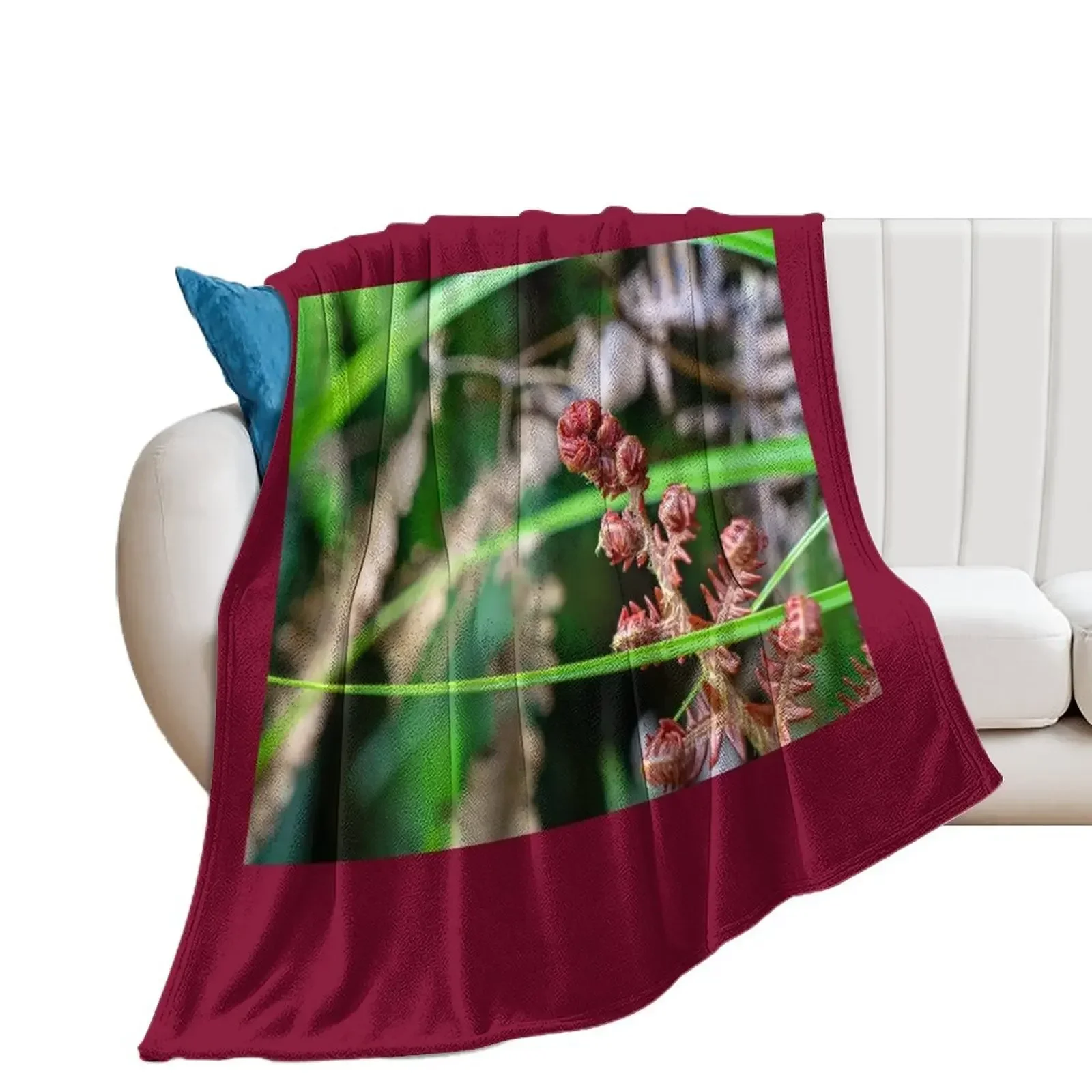 

Ama'u Fern Unfurling Throw Blanket christmas decoration wednesday Thin Picnic Blankets