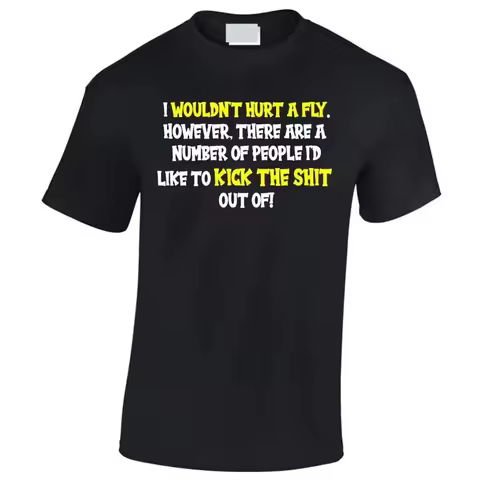 Wouldn'T Hurt A Fly Funny Men'S T Shirt Small 2 5Xl Irritating People Rude Party