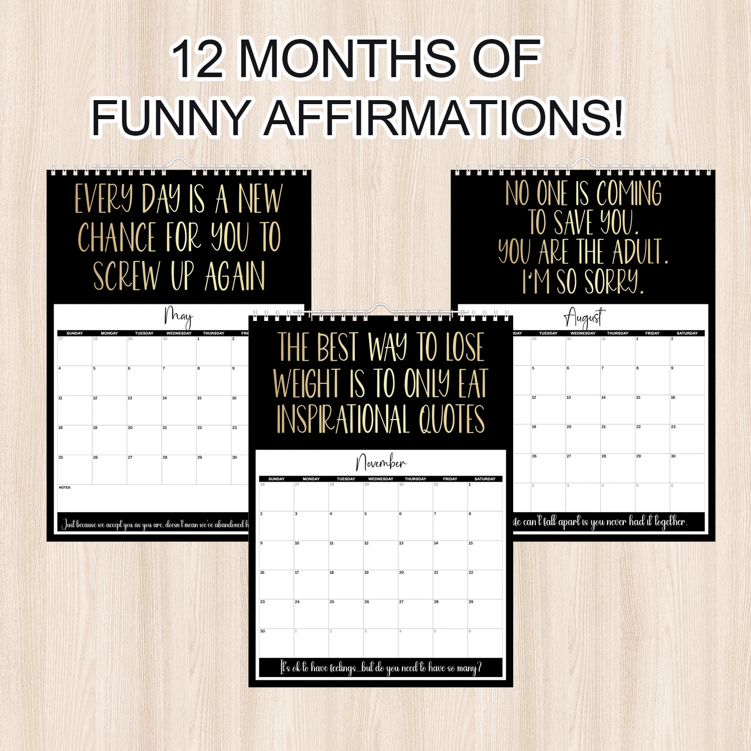 2025Anti-Motivation Sarcastic Wall Calendar - Funny Humor Text Gag Gift, Suitable For Women, Men, Best Friends & Coworkers, Chri