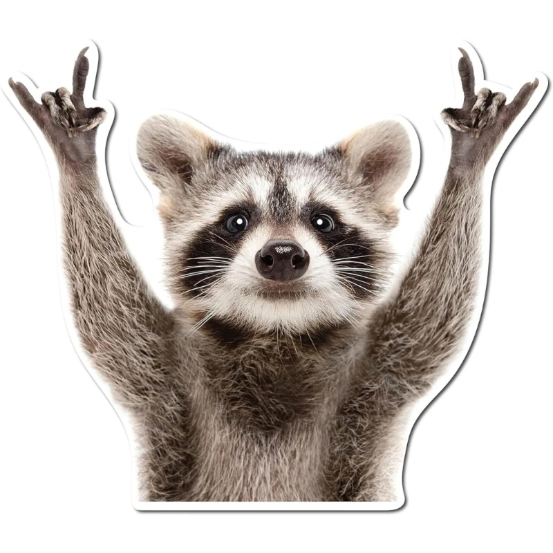400B Raccoon Themed Decals For Vehicle Body Automotive Exterior Decorative Stickers