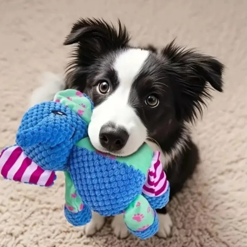 Thumbnail 3 - #5 Top 20 Puppy Chew Toys Worth Buying In 2026