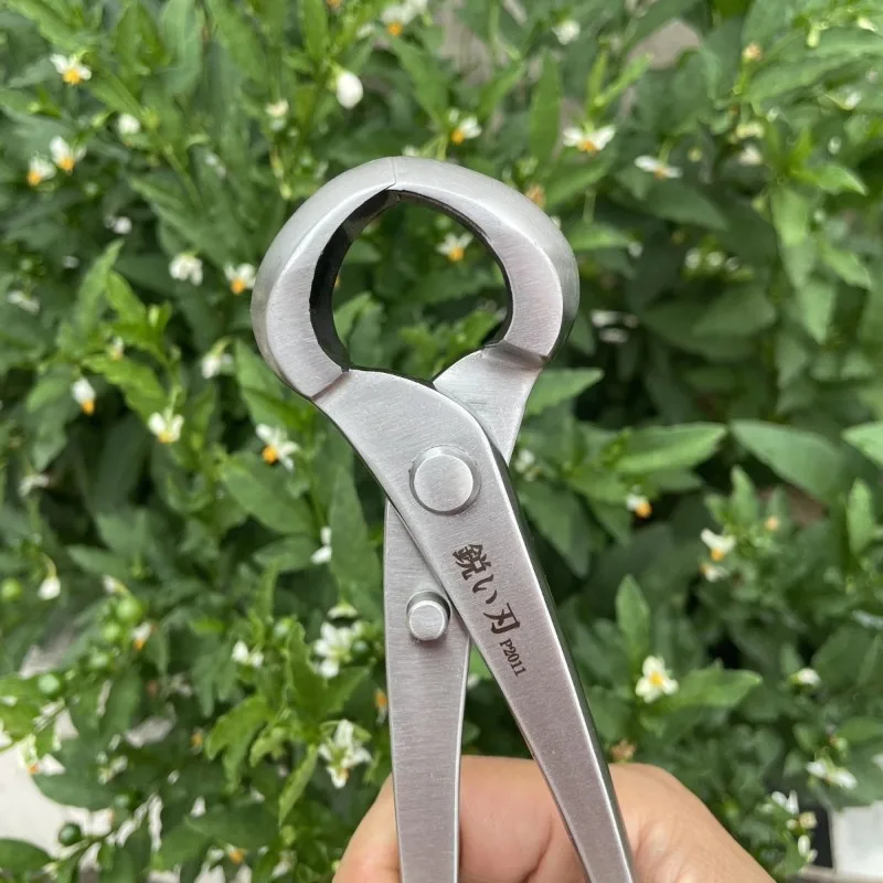 Sharp edged stainless steel ball joint shear ball drawing pliers