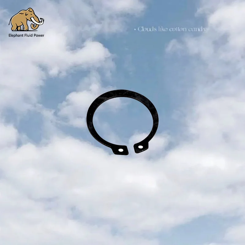 

Оптовая продажа запасных частей для гидравлического шестеренного насоса 391-2685-029 стопорное кольцо вала для тракторного комбайна