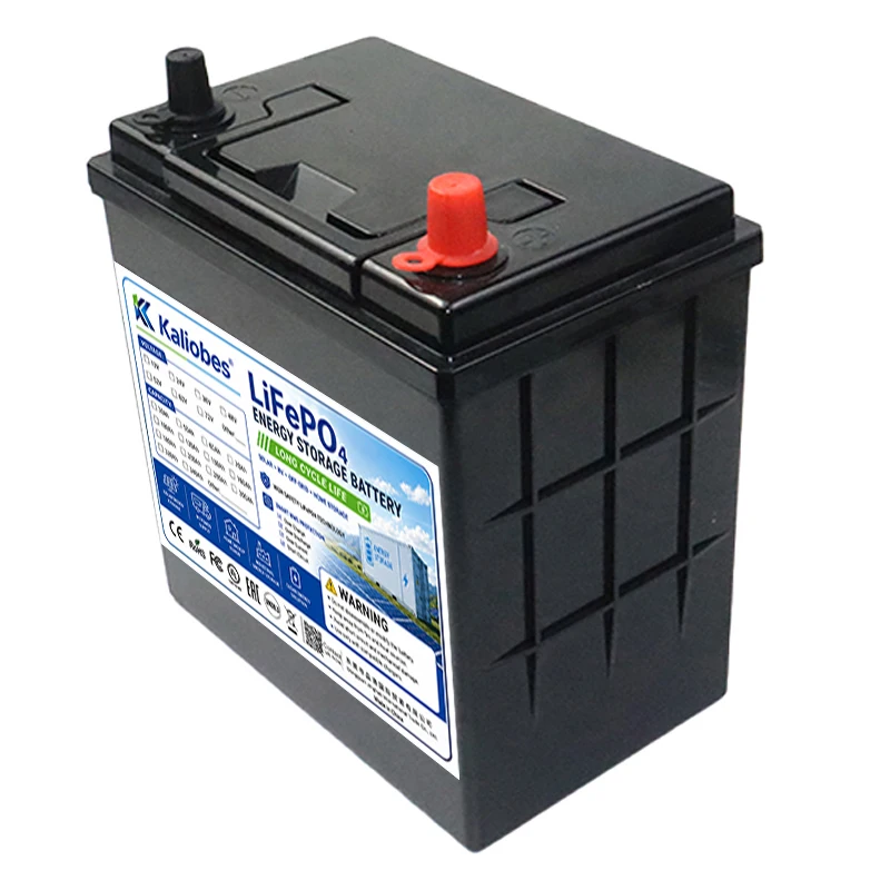 12.8V 50ah 60Ah 100ah 120AH LiFePO4 Battery 14.6V Charger Display screen 12V Lithium Iron Phosphate Batteries Cycles Touring Car