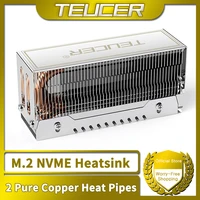 TEUCER M2-10 Dual Heat Pipe Heatsink M.2 2280 NVMe SSD Cooler with Thermal Pad Computer Accessories