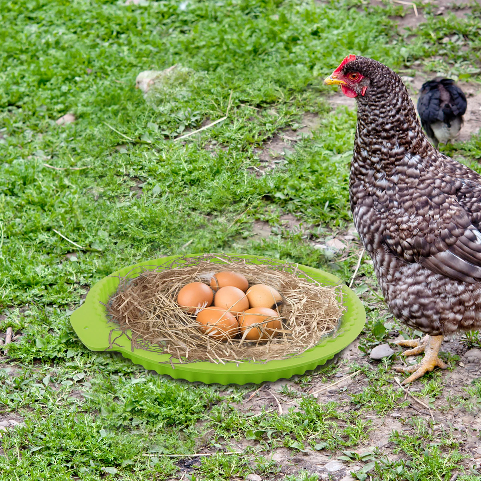 Chicken Nesting Pad…