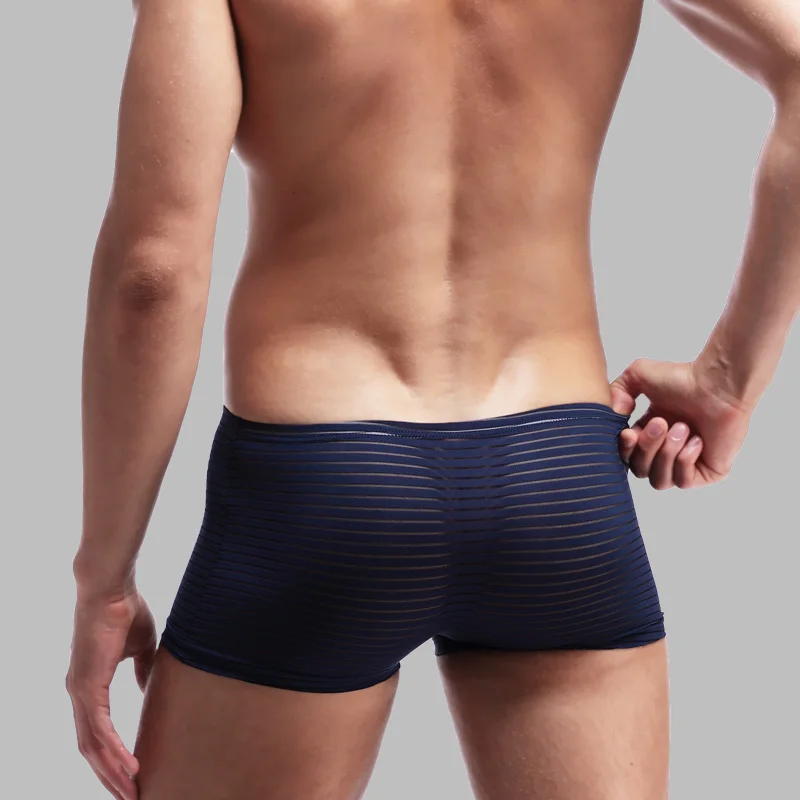 Youth Thin Transparent Sexy Men's Ice Silk Underwear Breathable One-Piece Boxer Briefs Boxer Briefs
