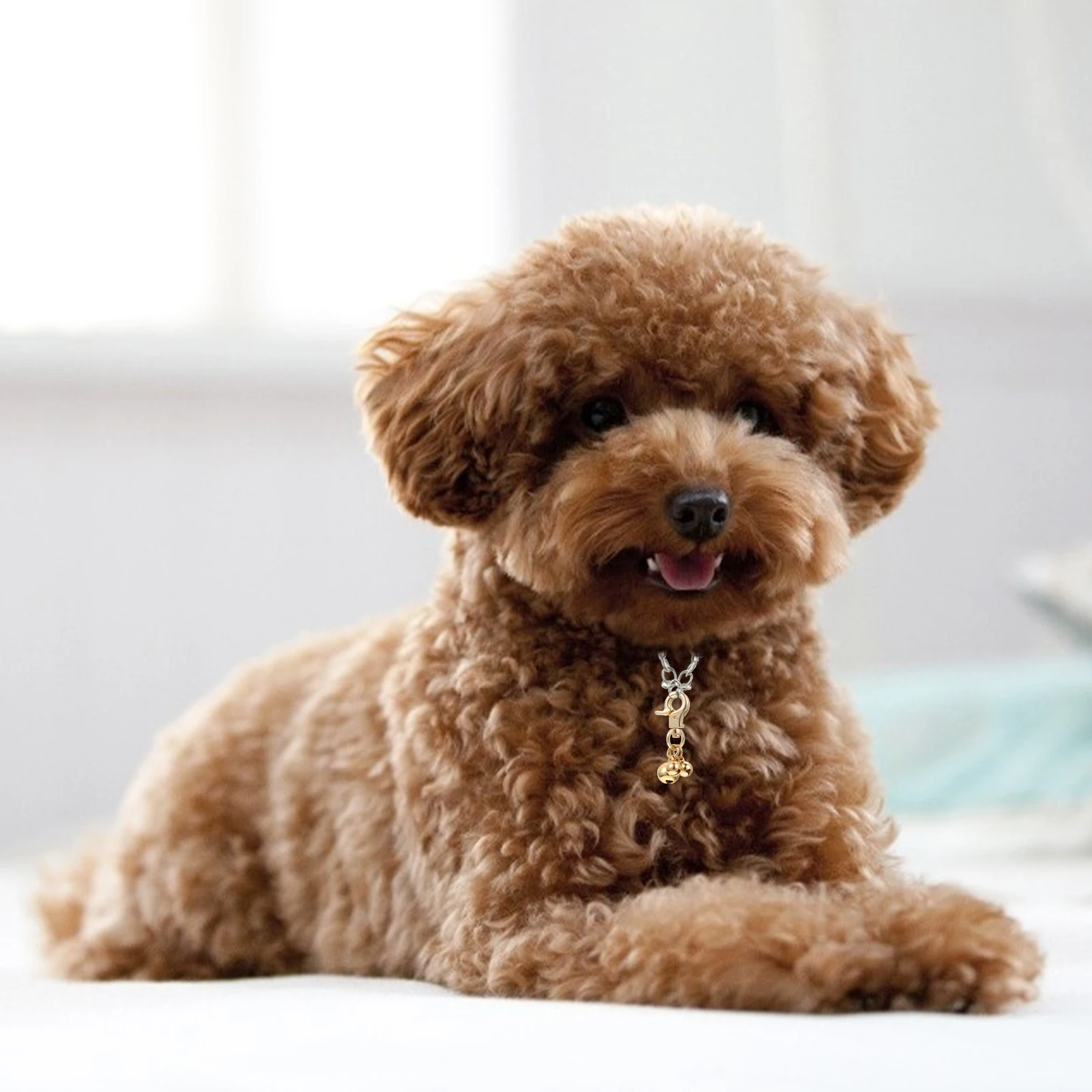 

4Pcs Cat Bell Keychain Exquisite Design for Pet Collar Pendant DIY Metal Decoration Key Ring Charm