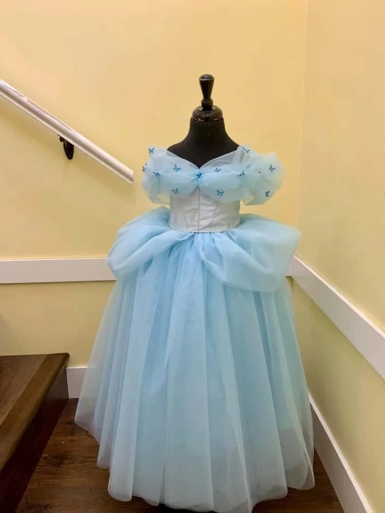 robe-de-demoiselle-d'honneur-personnalisee-princesse-cendrillon-bleu-clair-epaules-denudees-manches-bouffantes-broderie-de-papillons-tulle-gonfle
