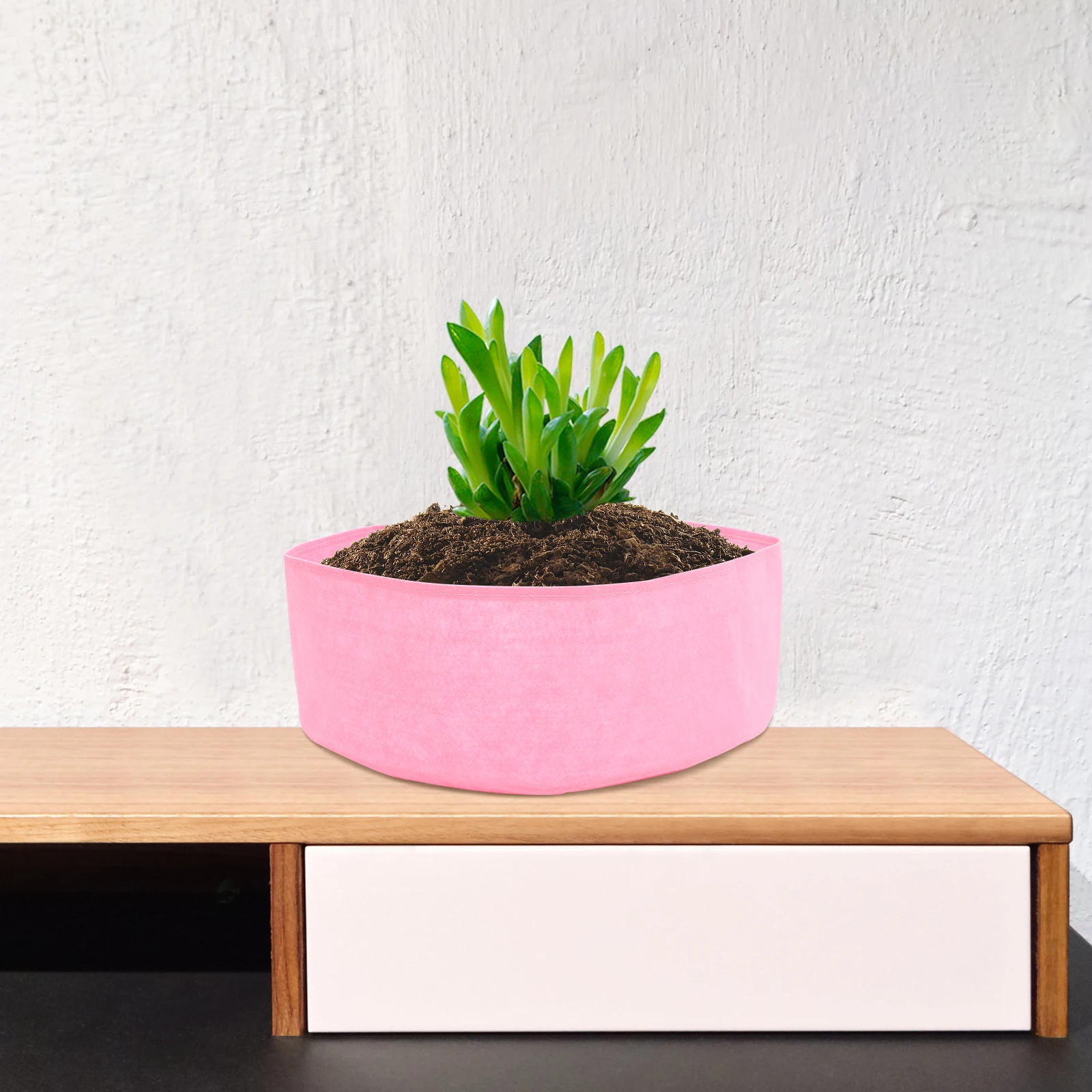 

Planting Bag For Plants 10L Vegetable Grow Bag Thickened Felt Fabric Planter Breathable Planting Container Garden Planters