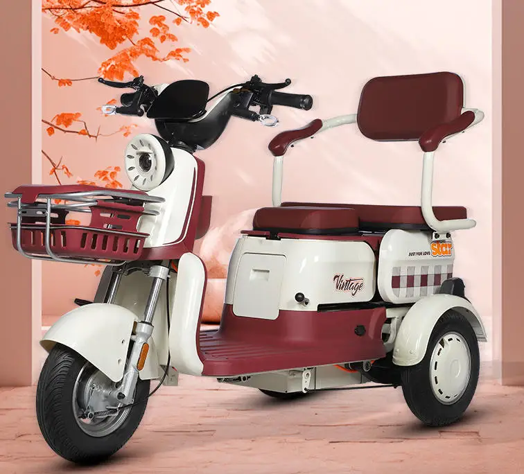 

Изготовленный на заказ алюминиевый электрический трайк 600 Вт 48 В с открытым верхом, портативный для взрослых, электрический пассажирский трехколесный велосипед