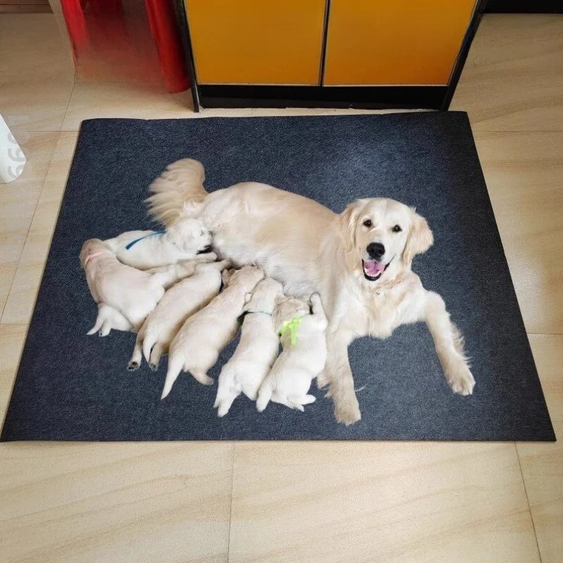 

Утолщенный коврик для собак, теплый лежак для крупных пород, всесезонный универсальный коврик для собачьей клетки, износостойкий.