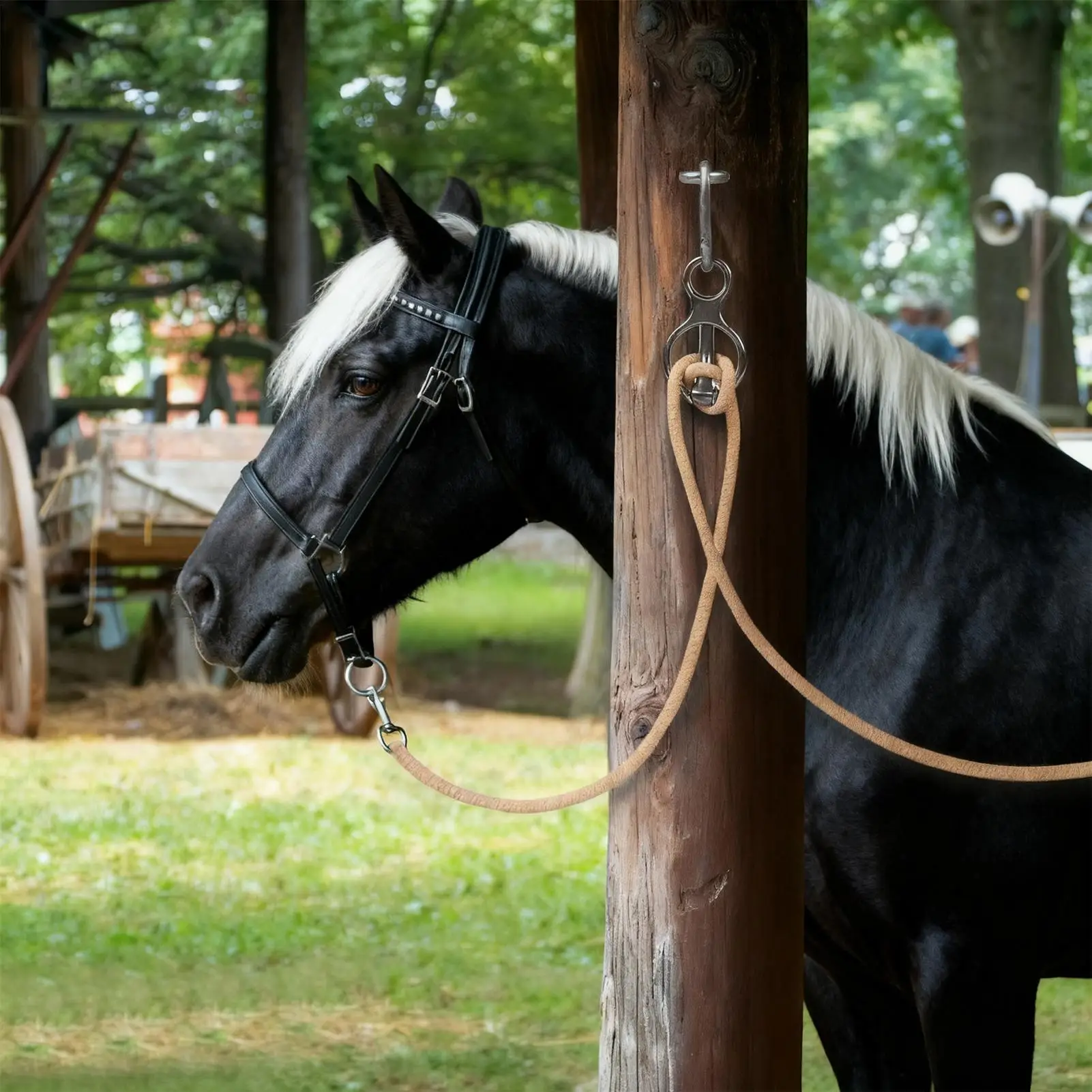 الحصان حبل حلقة الفولاذ المقاوم للصدأ معدات التدريب الإفراج السريع الحصان التعادل الدائري المقامى لستابل عربات الحظيرة غسل الرفوف #2
