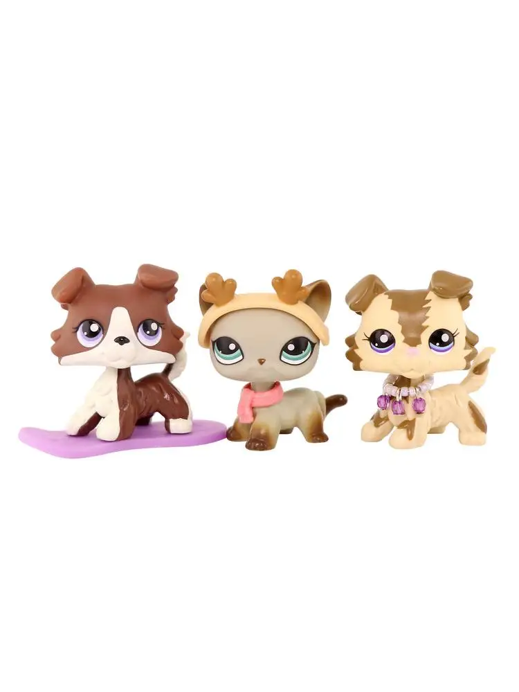 Collie 2210 Kot Krótkowłosy 391 Brązowy Pasek Szary Kot Puzzle Szczeniak Collie Brązowy Biały Fioletowe Oczy — Zdjęcie 2 z 2