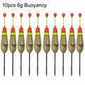 10pcs 6g