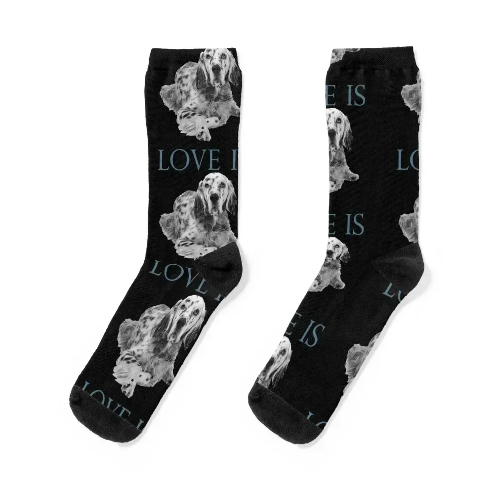 

English setter Dog Lover Socks hiphop Stockings compression loose gym Mens Socks Women's