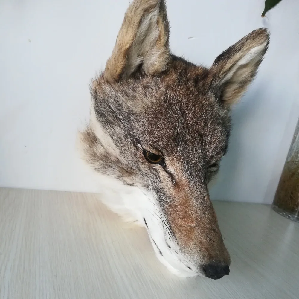 Nuevo modelo de cabeza de lobo de polietileno y pieles de la vida real, colgante de pared, accesorio artesanal de aproximadamente 30x25cm