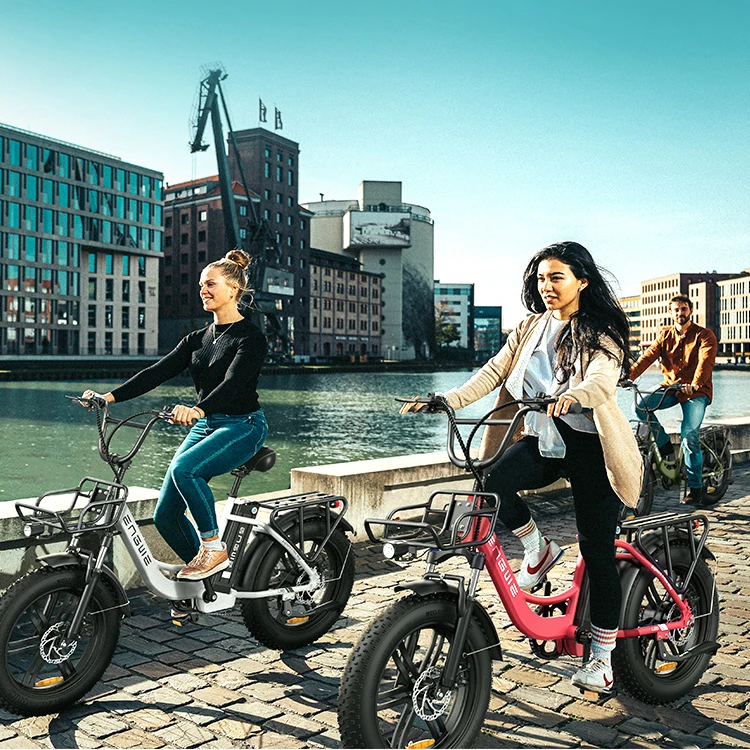 2025 new ENGWE L20 250W 48V 13AH road electric bicycle adult mountain off-road urban electric bicycle