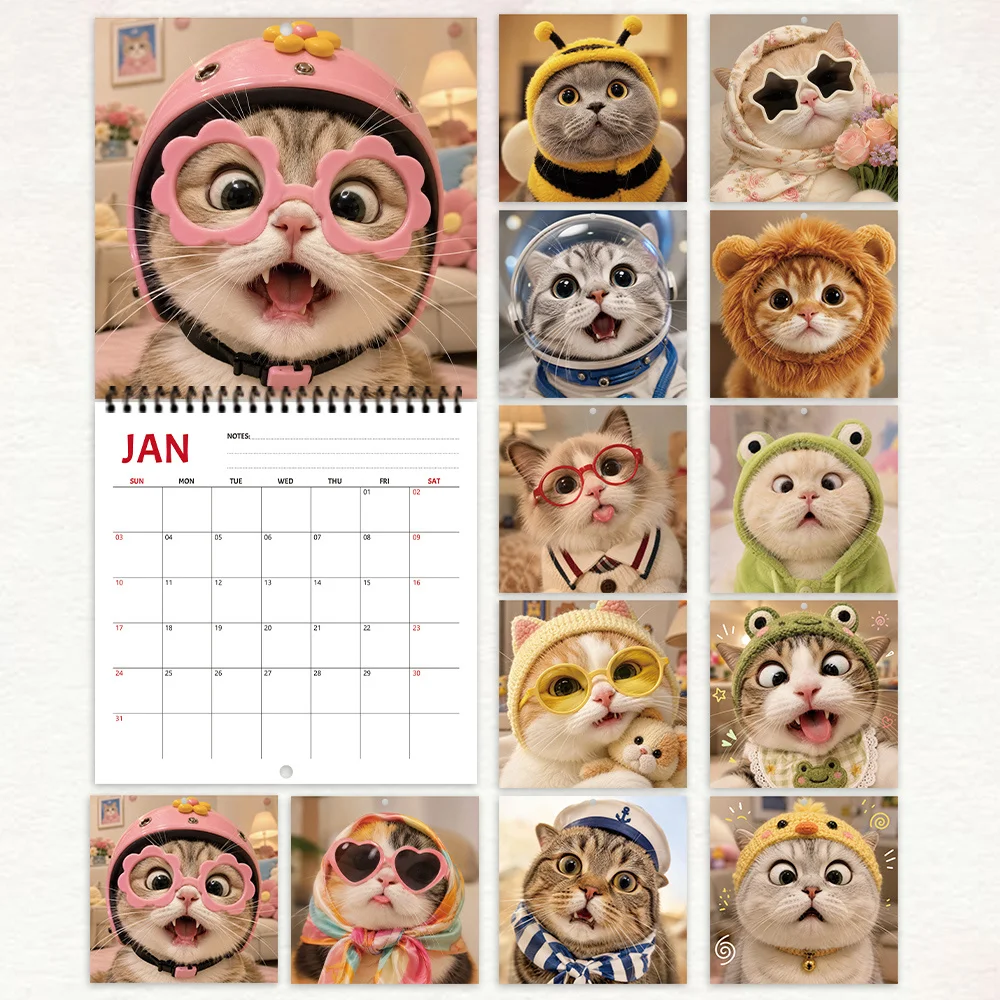 1pc, 2027 Wall Calendar, Funny Helmet Cat Art, 12 Month Planner for Home Office Decor, Christmas New Year Gift with Stickers