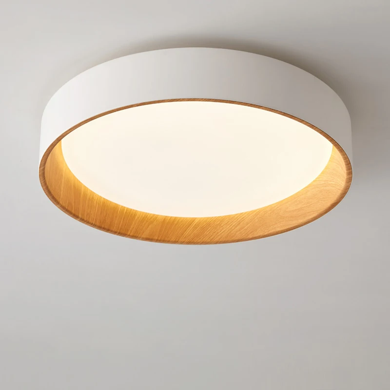 Lampadario a soffitto a LED minimalista nordico per soggiorno sala da pranzo balcone doppia camera da letto lampada Home Decor apparecchio di